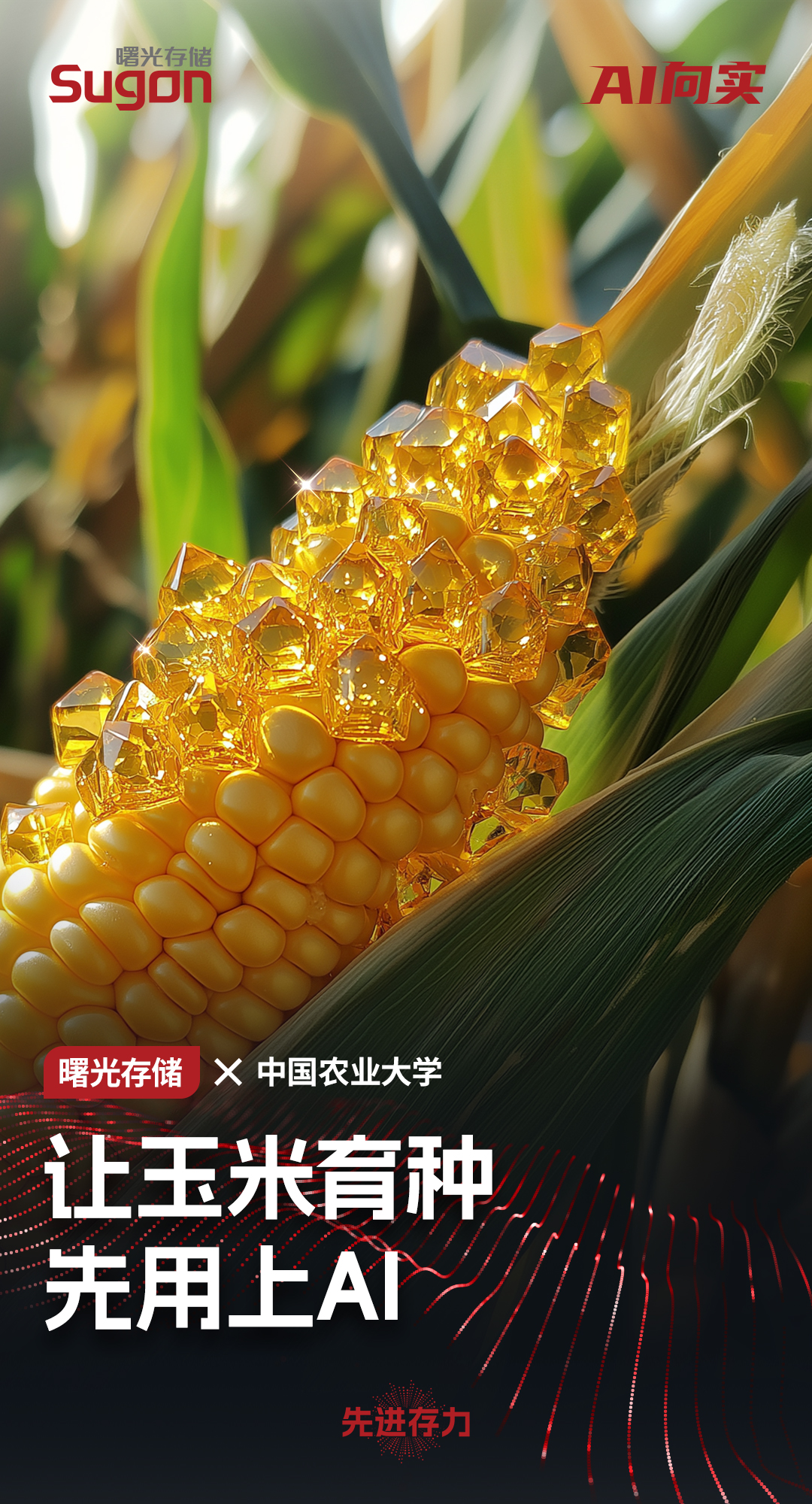 农大.jpg