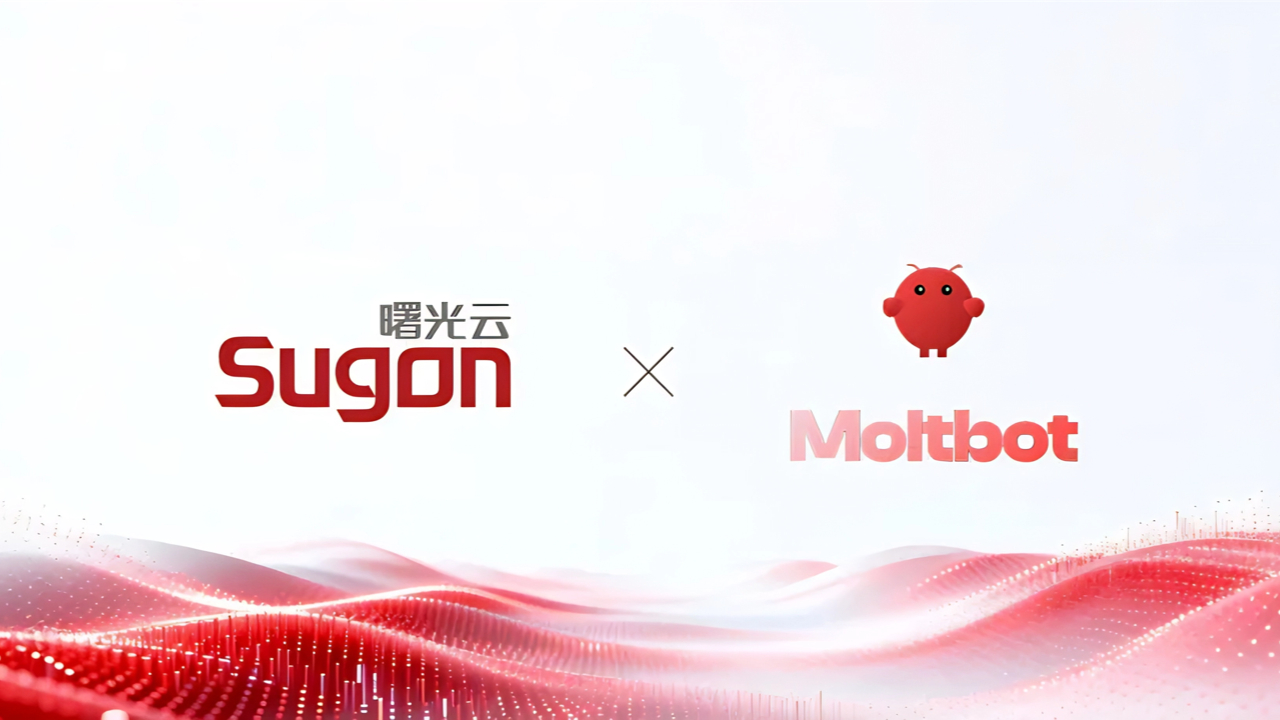 1770282556478854.jpeg 未命名(2) (19).jpg