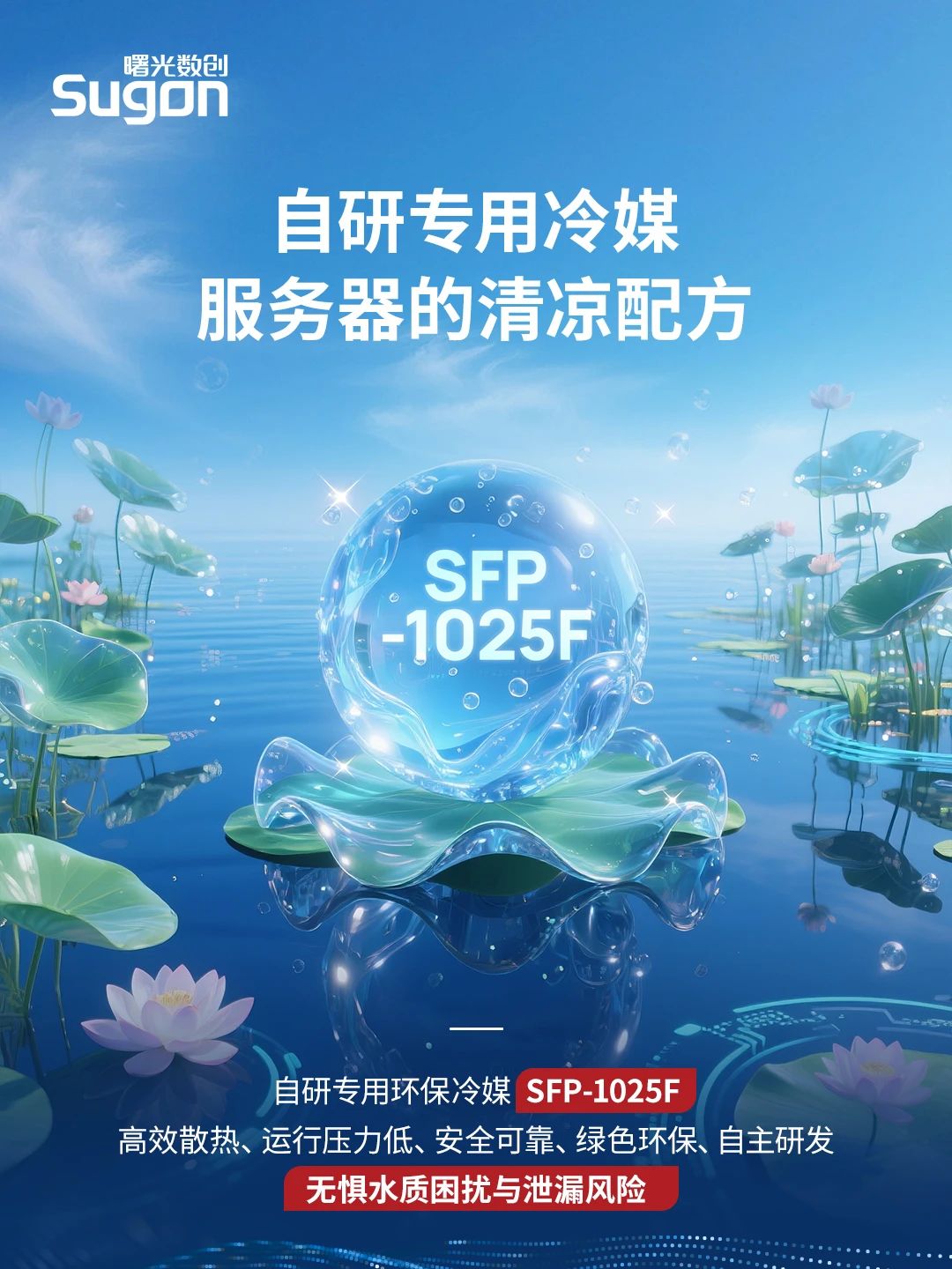 20250723-4.jpeg